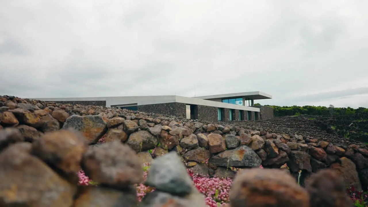 Close up shot of the Wine Company located around the Lava rock for vineyard walls in the Azores Portugal