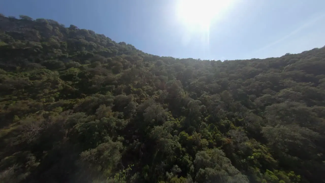 Low FPV aerial flight up forested hillside with