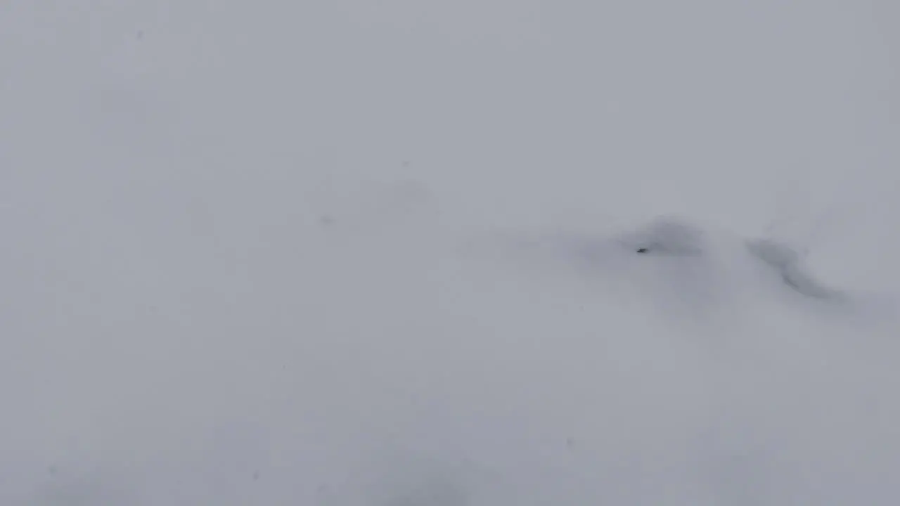 A first person view shoot of a pair of boots Walking on snow