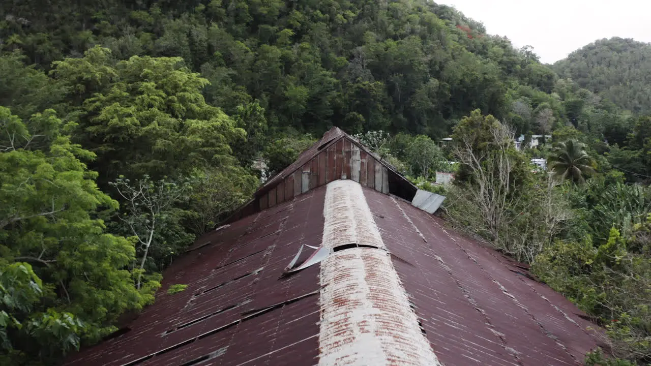 Flypast over the roofline of an abandoned old factory deep in the jungle countryside of Puerto Rico