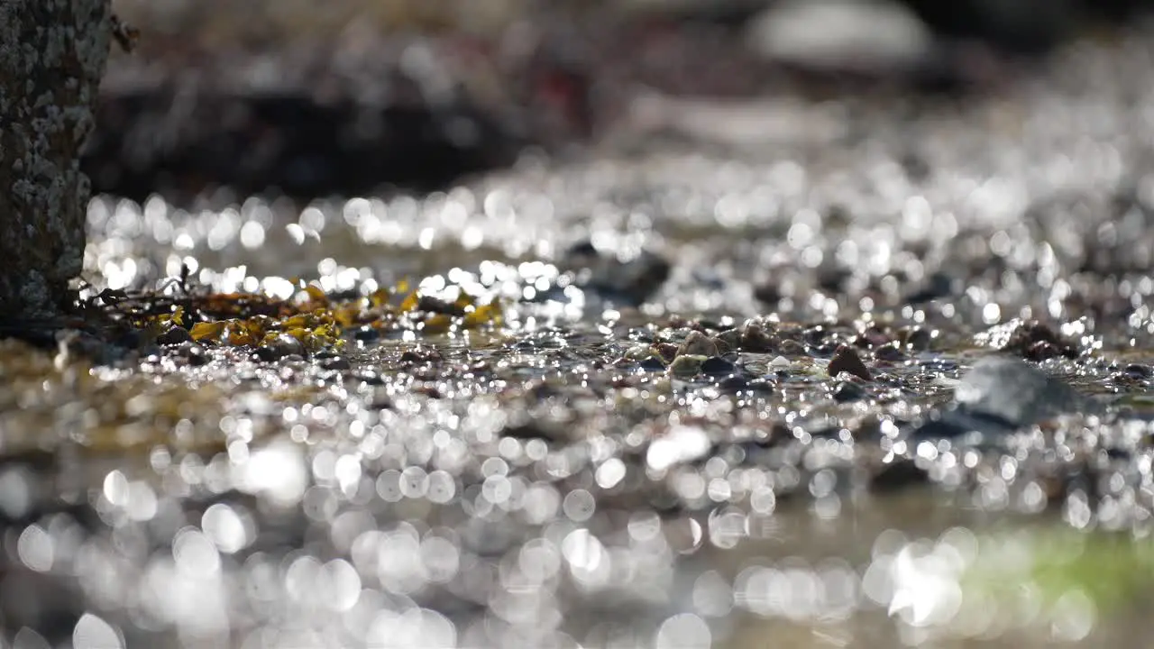 Wet pebbles shimmer from sunlight dancing across surface beautiful bokeh