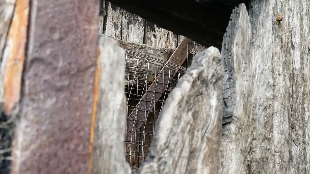 Grungy broken weathered wooden textured timber and rusted damaged steel metalwork