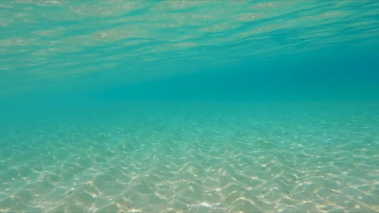 Swimming underwater in clear blue shallow ocean with sandy bottom and light shimmering through