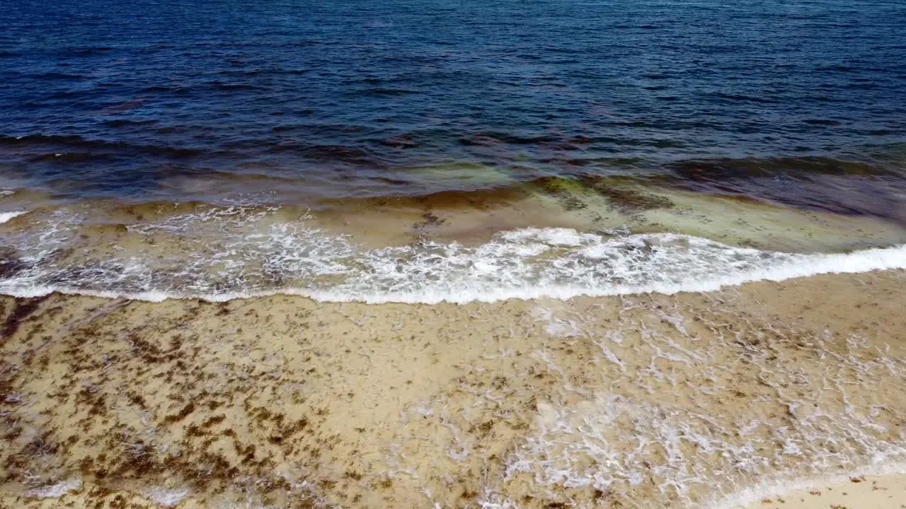 Brown ocean shoreline with sargassum floating in the water as waves crash on the beach aerial