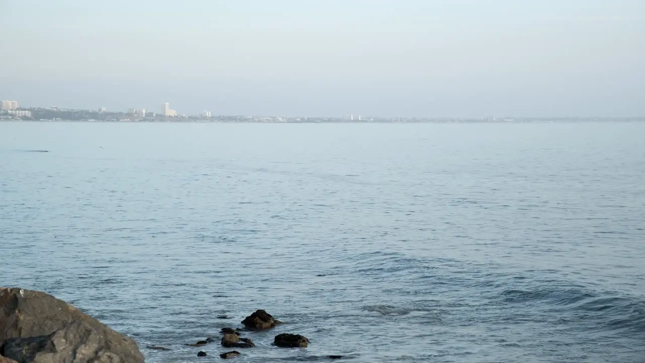 Serene clear blue waters of beach Malibu California with dolphins moving around on the surface