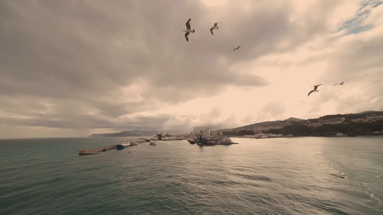 Cruise ship leaving the italian harbour of Savona with many seagulls flying around