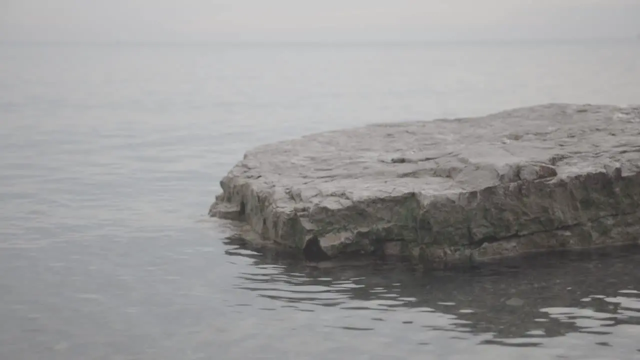 Beautiful plain rocks surrounding by the sea in Canda Close Up Shots