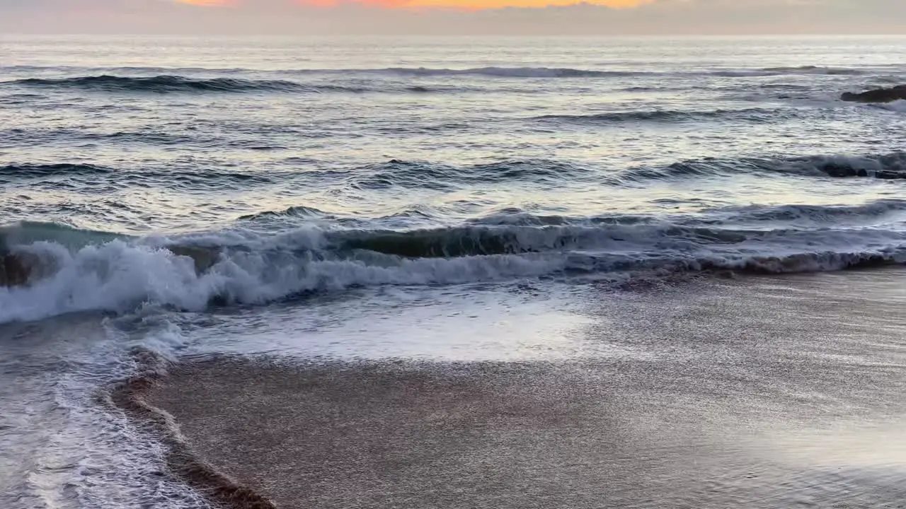 wide view of beautiful young woman walking her dog taking selfie on the shore of the beach at sunset with orange sky