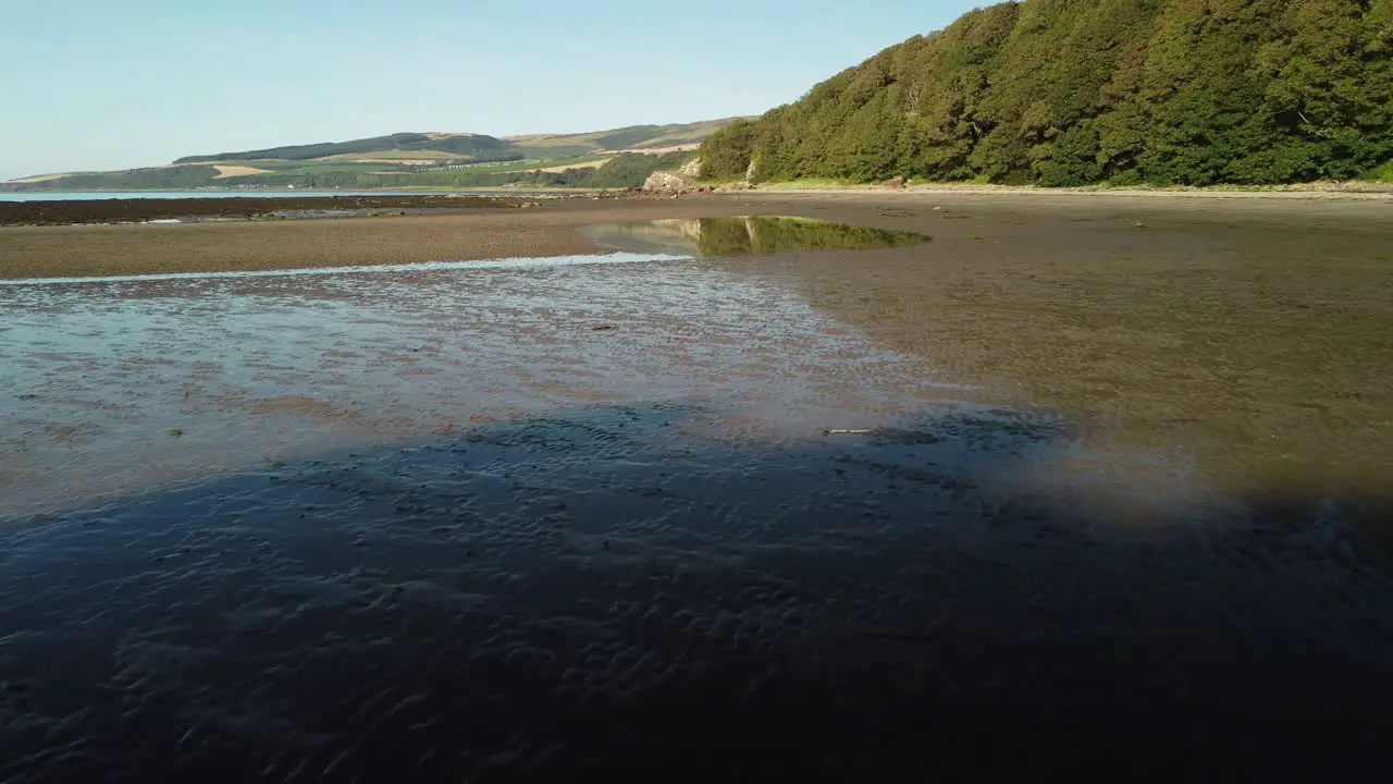 A swan is bathing on the beach