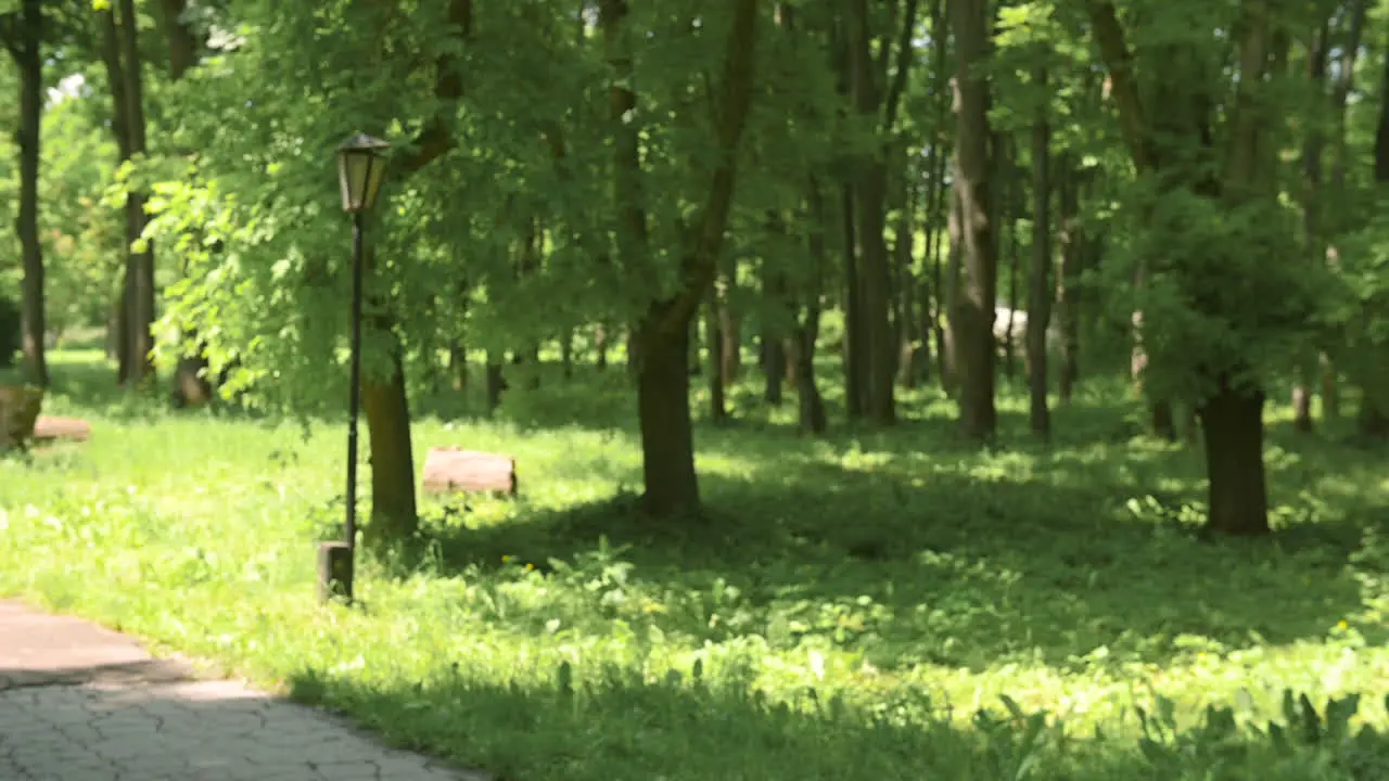 Zwei Glückliche Hübsche Läuferinnen Beginnen Im Park Zu Laufen