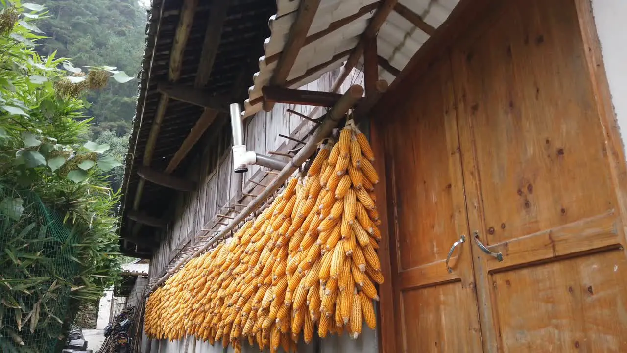 Corn hanging for drying along facade of traditional building Guizhou China Handheld dolly