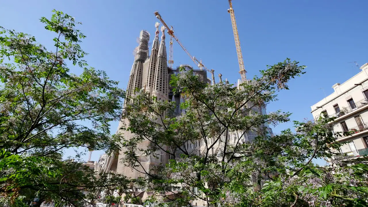 Spain Barcelona Sagrada Familia With Tree In Front