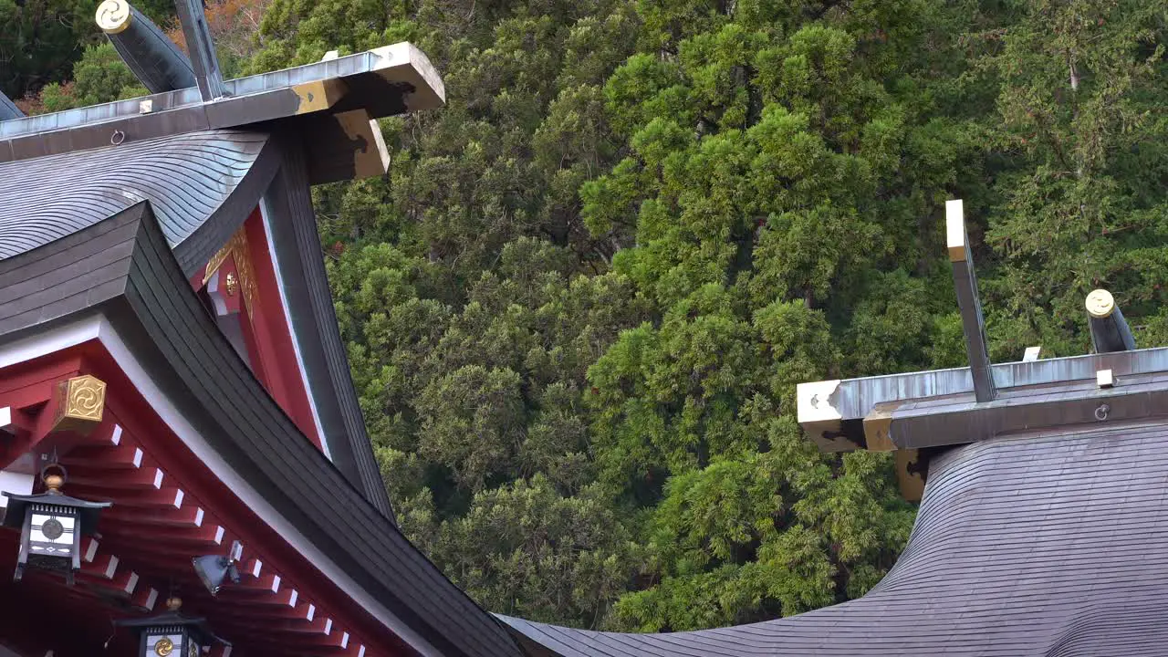 Trees waving behind Typical Japanese shrine