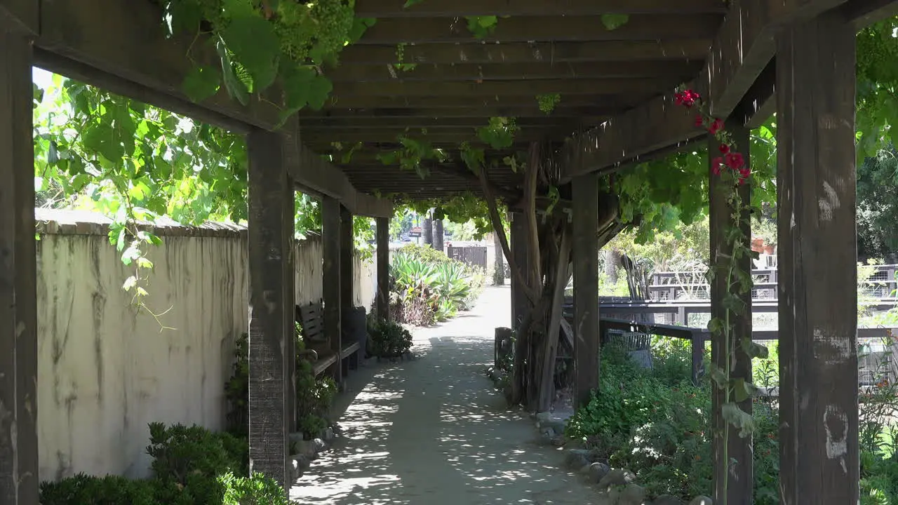 California San Juan Capistrano Mission Grape Arbor In Garden