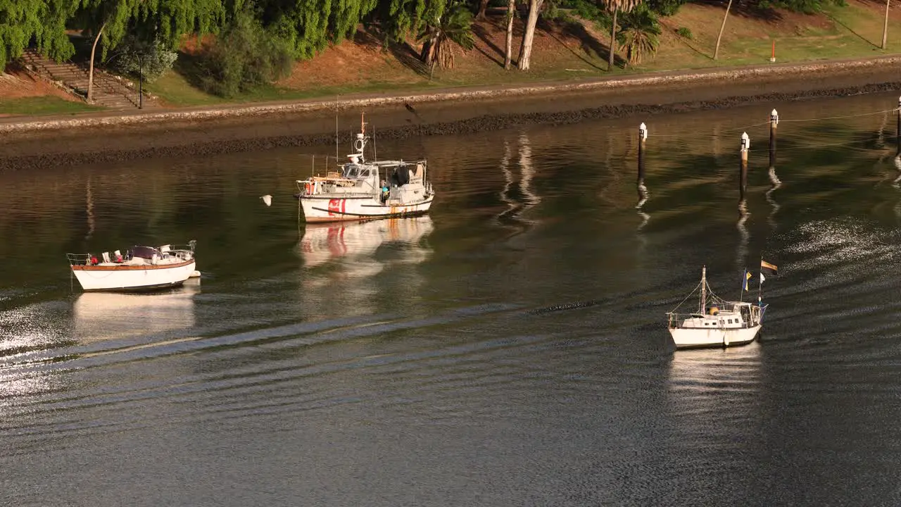 View of river boats and Botanic Gardens from Kangaroo Point Brisbane Australia