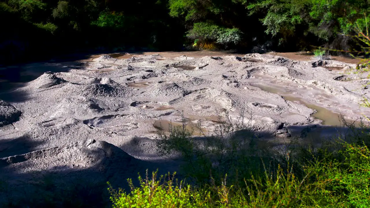 Boiling Mud Pool In The Geothermal Valley Of Whakarewarewa Valley Rotorua New Zealand