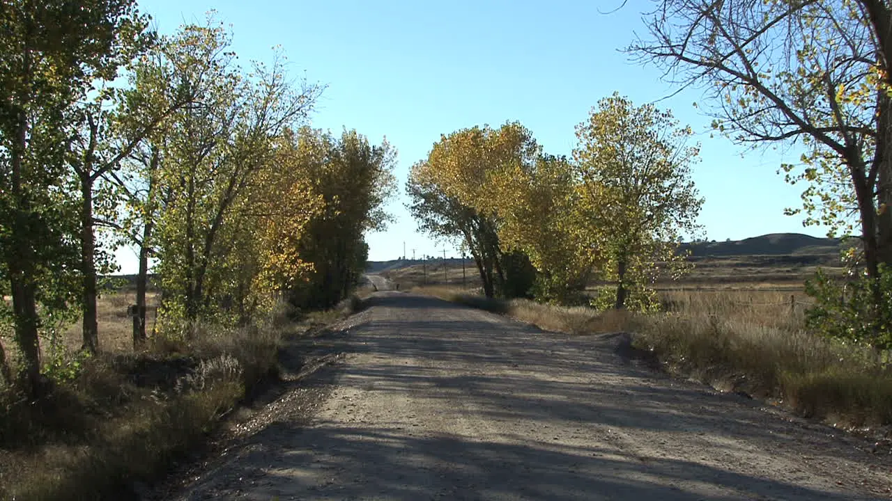 Wyoming lonely road and trees