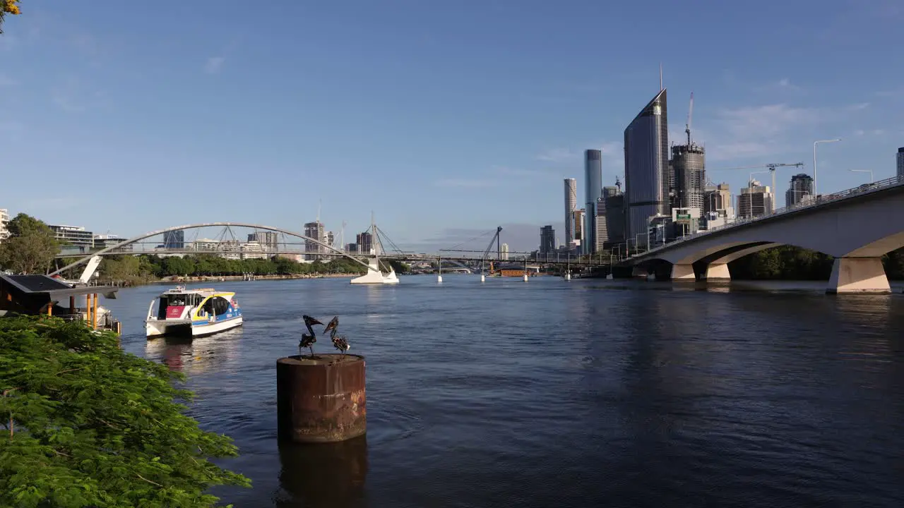 View of ferry arriving and Brisbane City from The Cliffs Boardwalk at Kangaroo Point