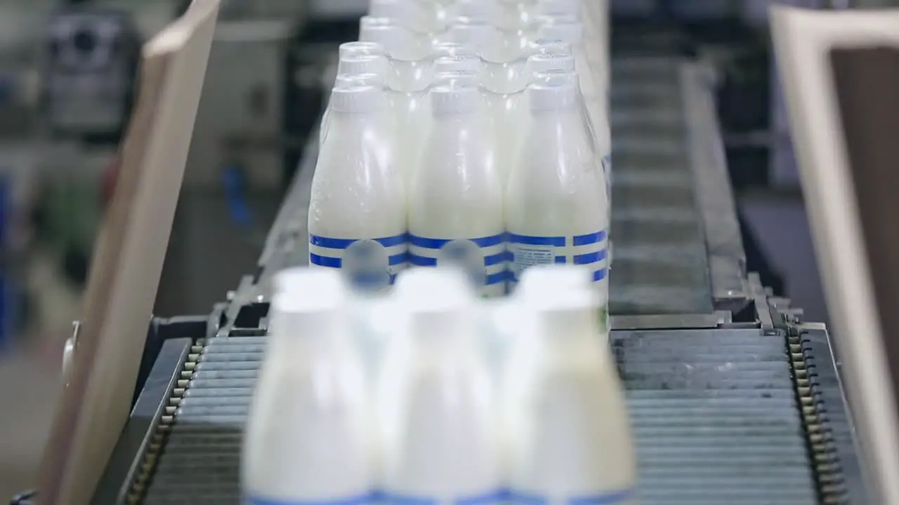 Milk packaging line Packaging milk bottles on conveyor line Milk package