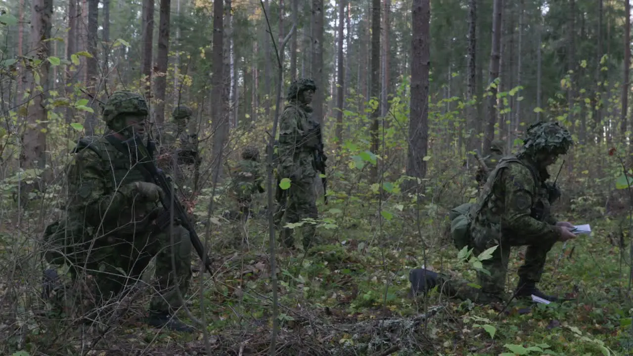 Camouflage soldiers grouping stalking in the forest wide shot slow motion