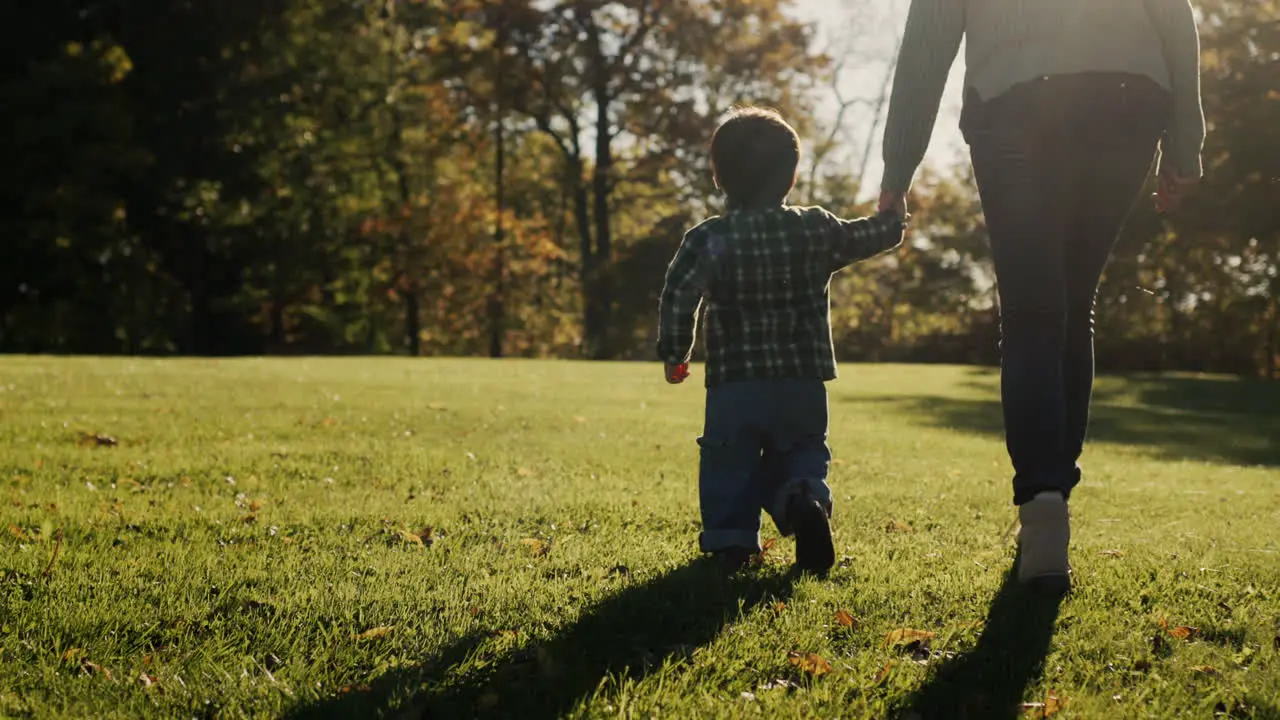 Mom leads the baby by the hand walking next to the green grass in the rays of the setting sun Follow shot