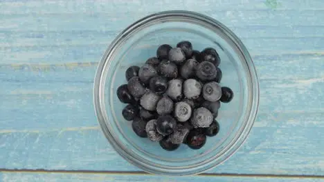 Defrosting frozen blueberry Timelapse of unfreezing ice melting of fruits berries on glass plate