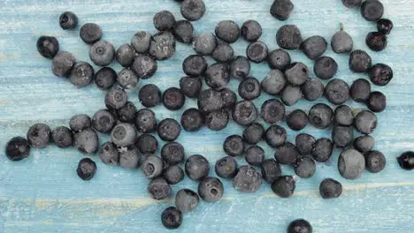 Defrosting frozen blueberry Timelapse of unfreezing ice melting of fruits berries on blue surface