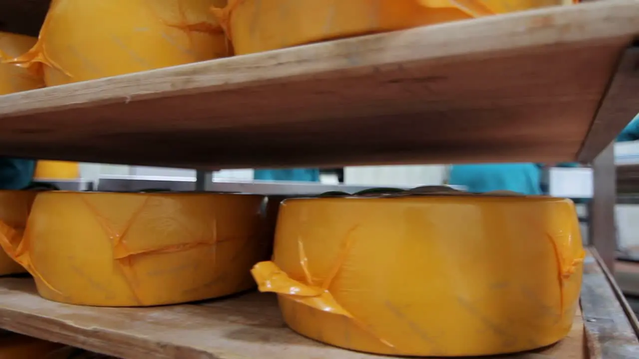 Packaged cheese wheels on shelves in factory warehouse Cheese production