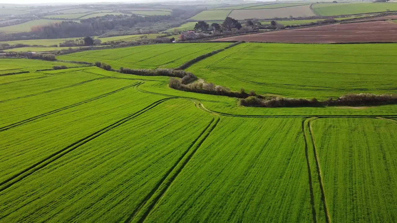 Green lush farmers fields in Summer agriculture