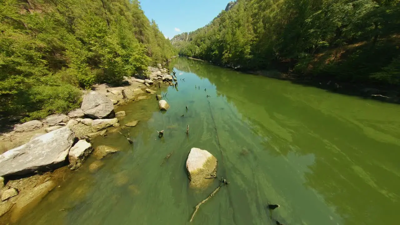 Aerial view drone flying on top of green mossy lake with stakes and woods coming out of it surrounded by trees