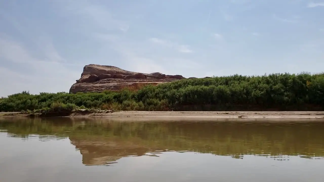 Pan of deer on river banks in Utah