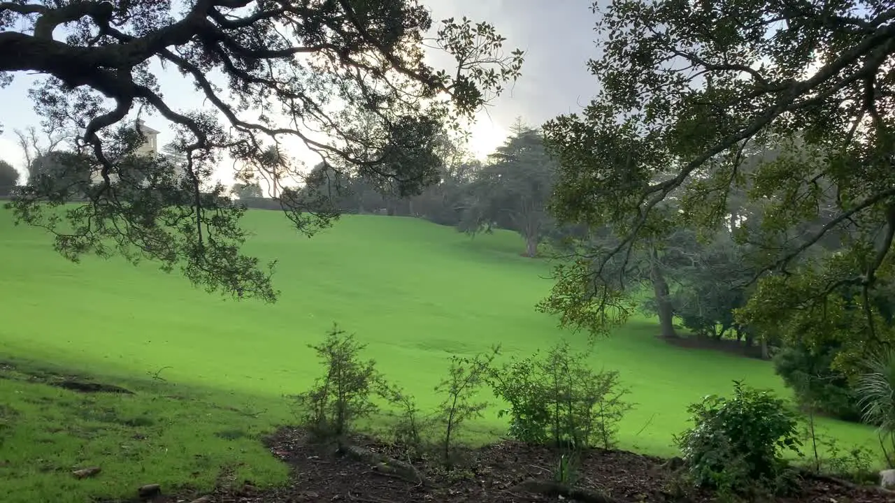 Misty rain falls lightly on the green grassy surface of a park in Auckland New Zealand