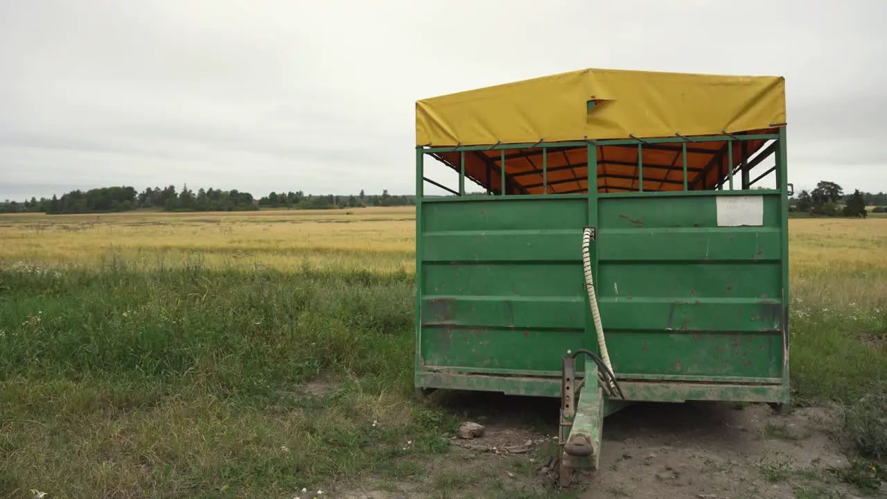 Medium shot of a yellow field with a green and yellow trailer in the foreground