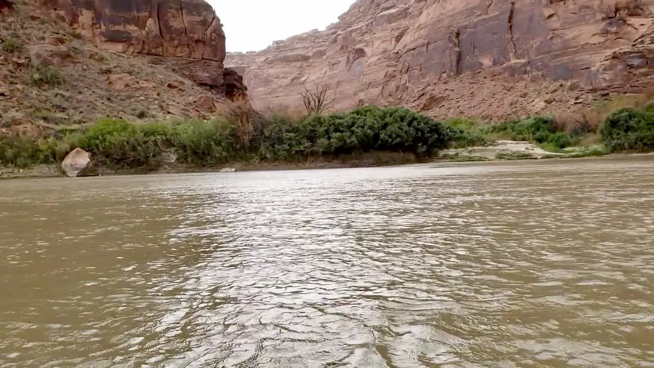 Floating on river watching wind blow through trees in Utah canyon