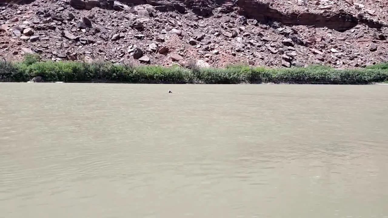 Guy sits down to float in river in Utah