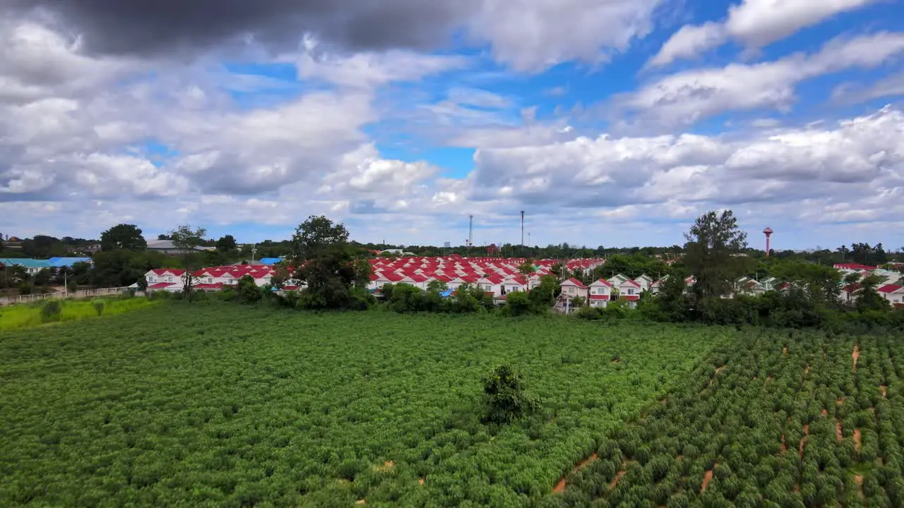 Aerial Drone clip ascending over fields in the countryside of Thailand revealing a village