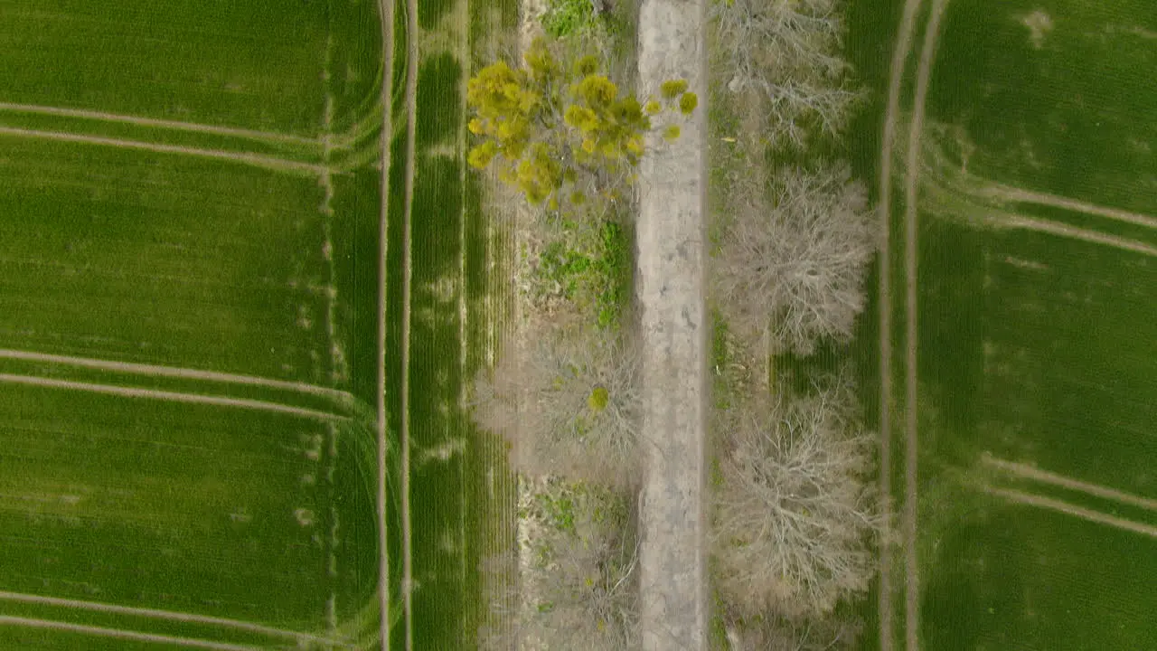 Aerial drone slow follow along the Countryside Village Road Surrounded with Rye Green Fields looking down