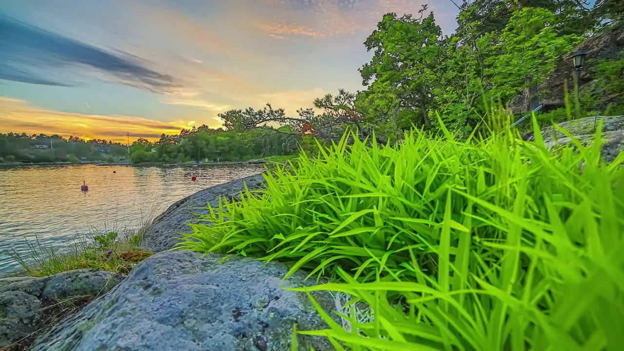 Timelapse shot of cloud movement over lake surrounded by dense vegetation during evening time