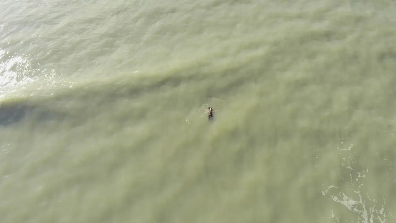 Woman Floating In The Sea On A Sunny Day Wide aerial Shot