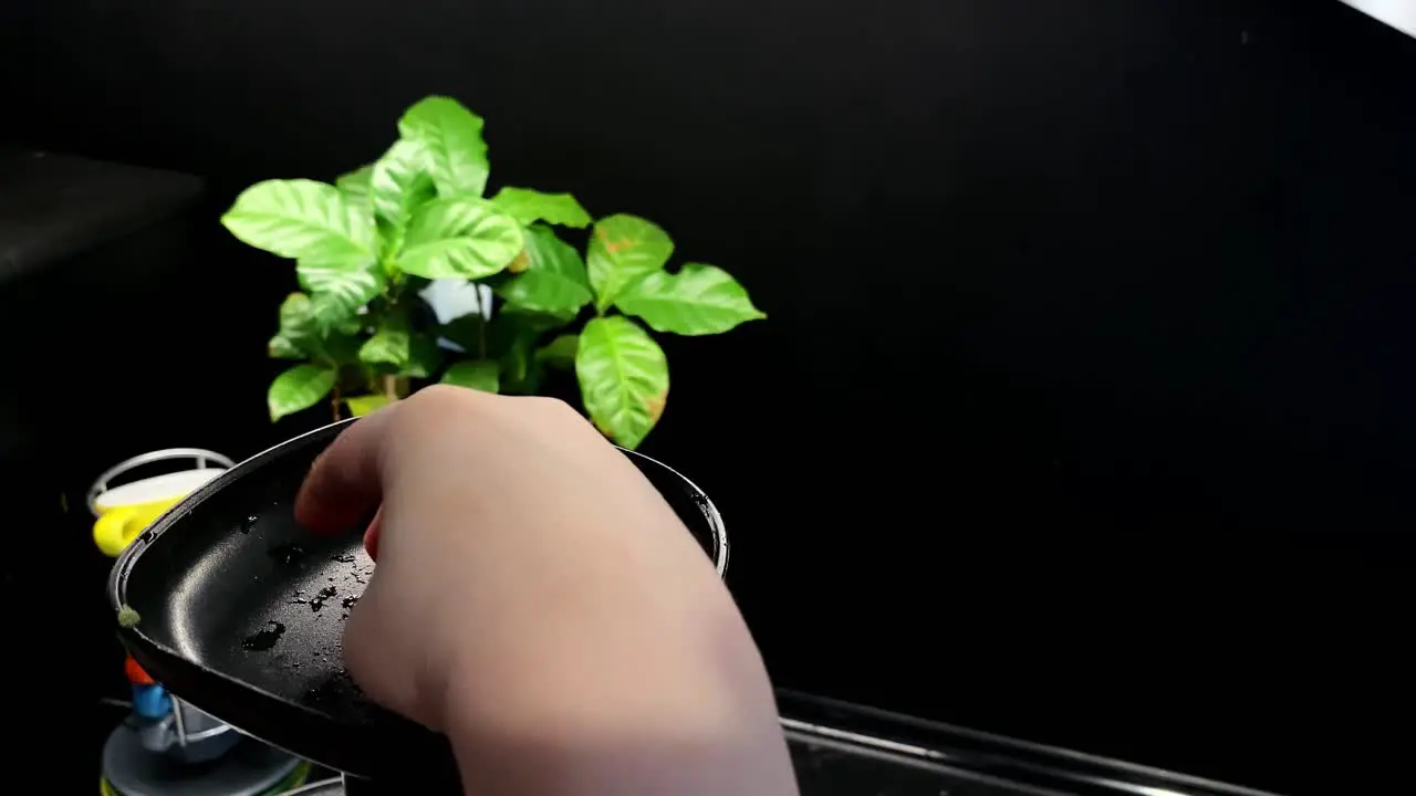 The child puts pieces of apple fruit in the juice squeezer black background with green leaves on back