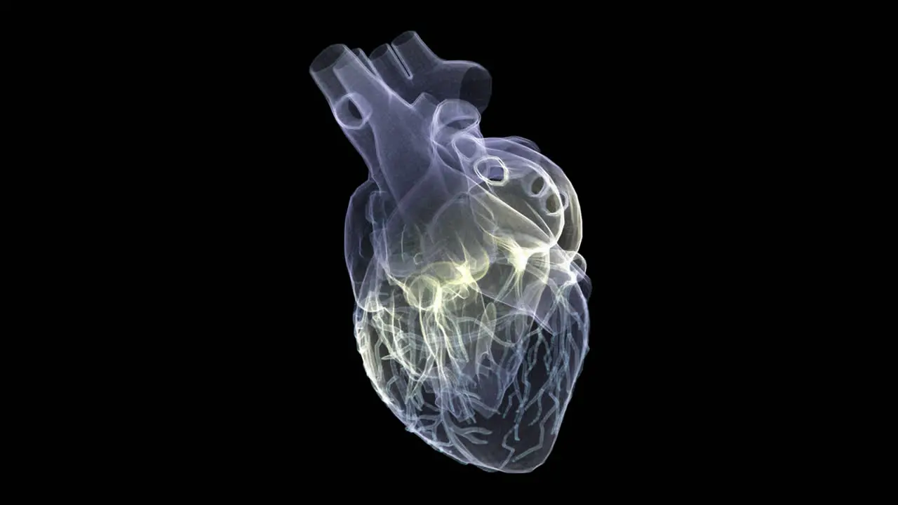 Futuristic holographic X-ray tomography scanning patient's Heart for health evaluation simulation medical examination and assessment in full rotation loop with alpha channel medical concept