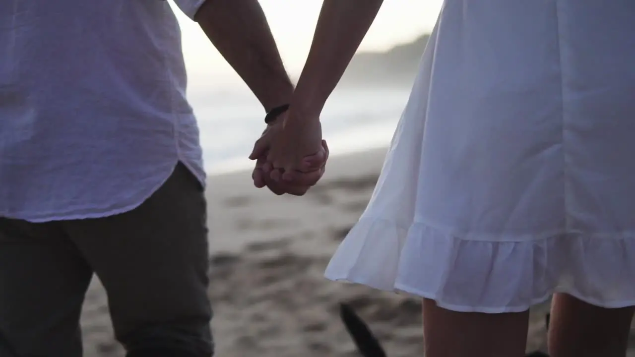 Slow motion dolly shot of a couple in love walking along the beach with their dog holding hands during a beautiful romantic sunset