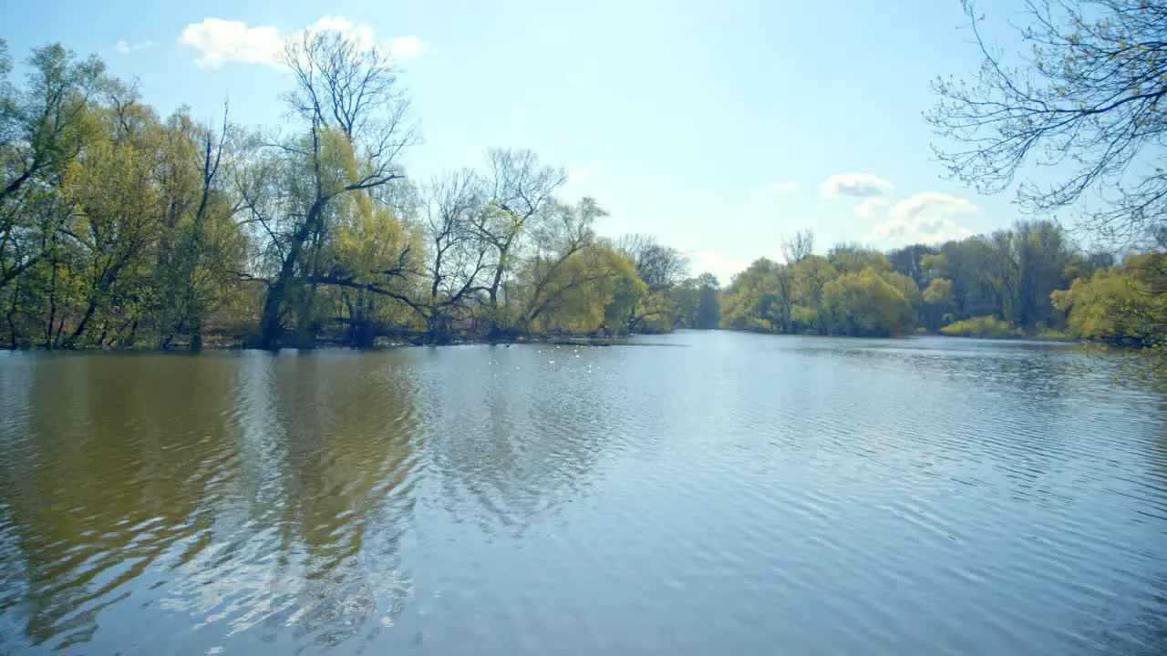 Still Water With Reflection At The Nature Park In March-Thaya-Auen Weinviertel Lower Austria