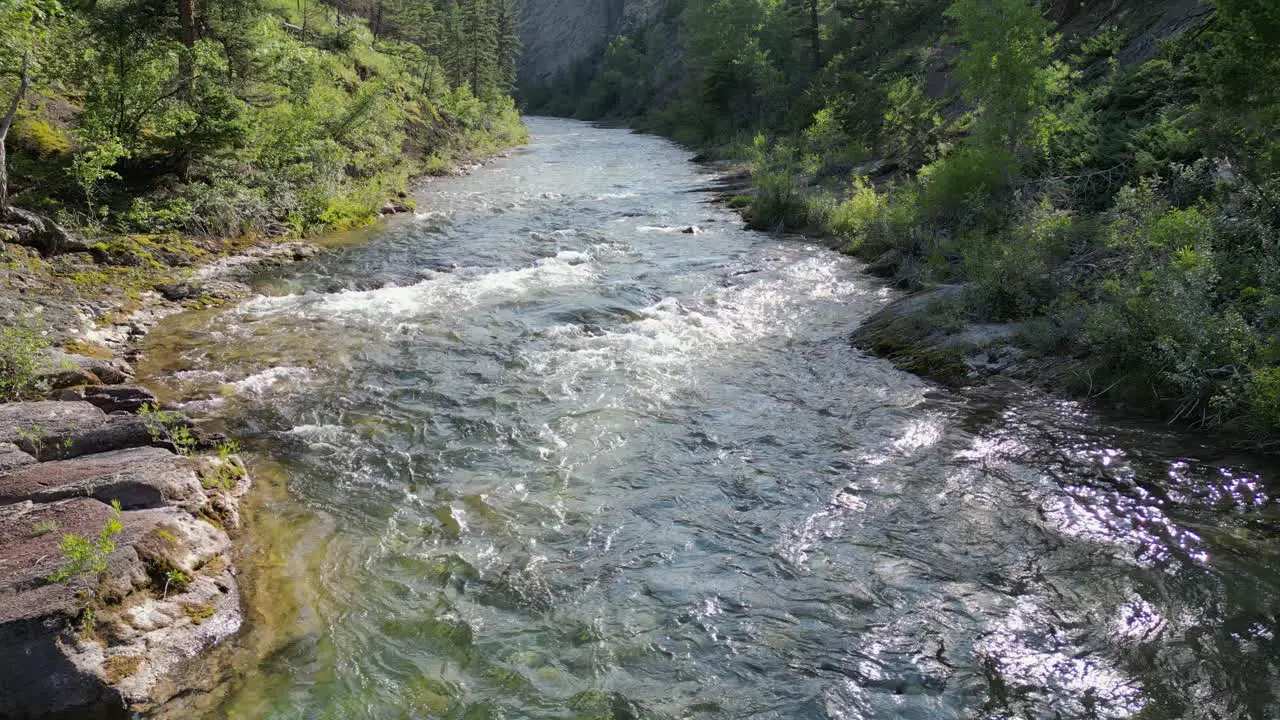 Serene Flowing Forest River with Slow Pan Up 4K