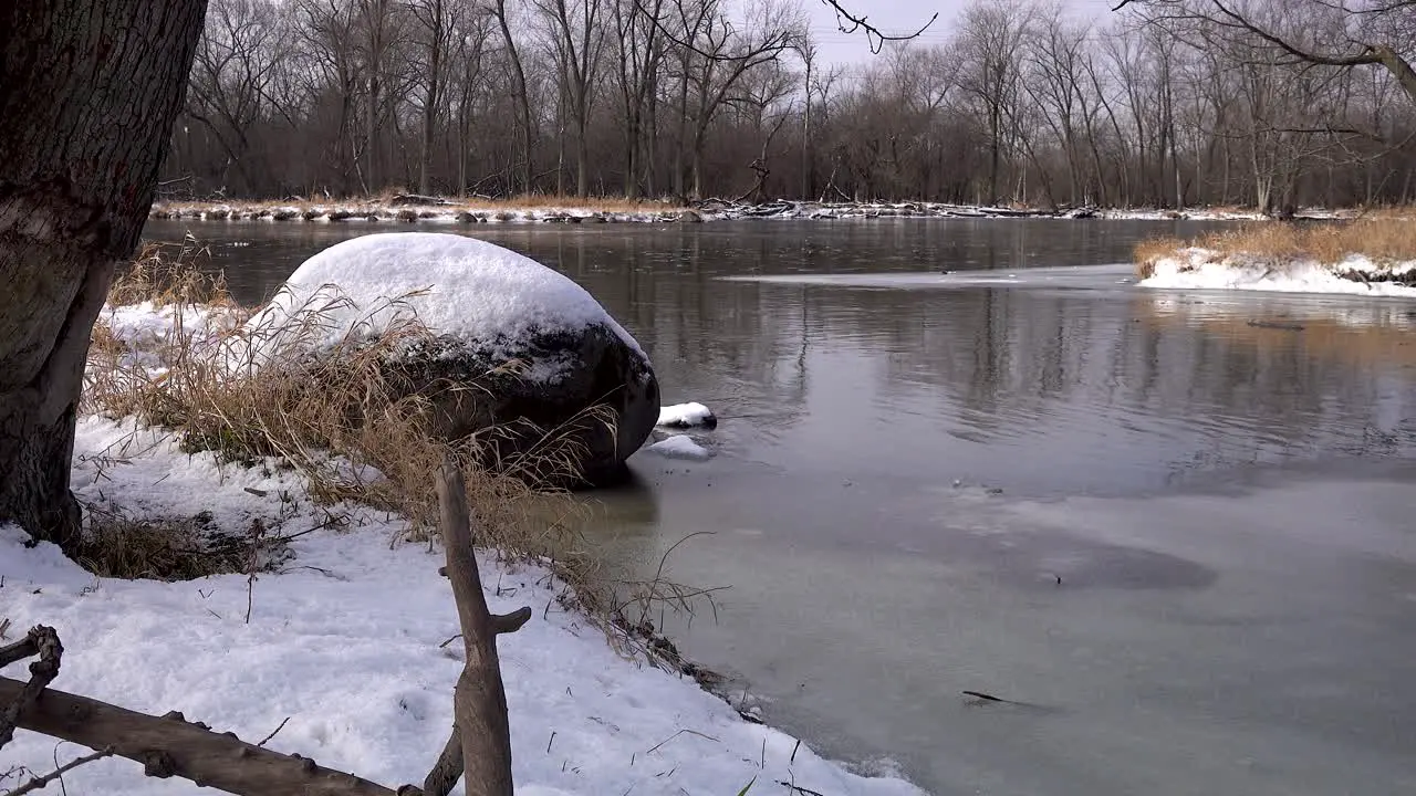 Slow Moving Ice On River In Forest Winter Time