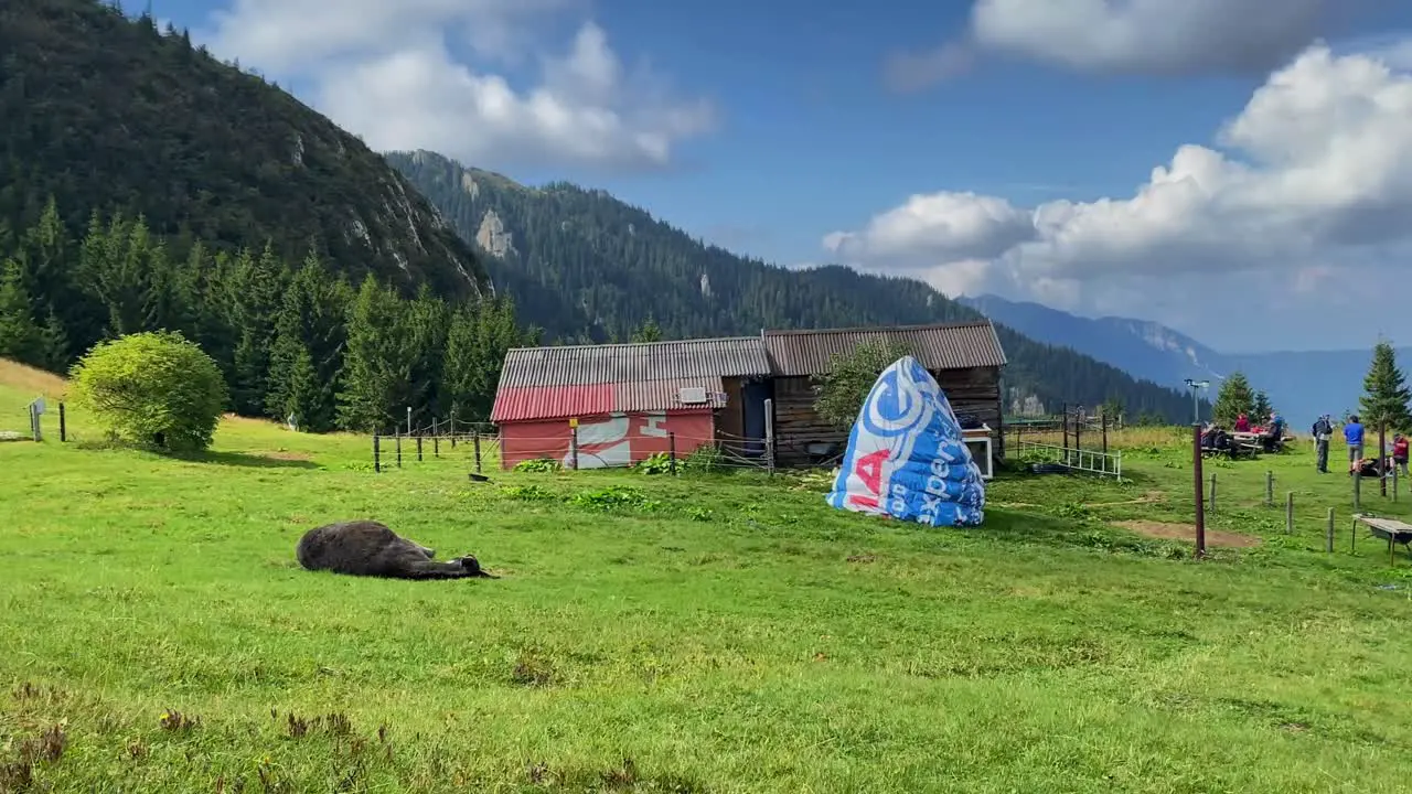 Donkey Standing in a Picturesque Field with Serene Mountainous Backdrop and Lodge as Hikers Prepare for their Adventure