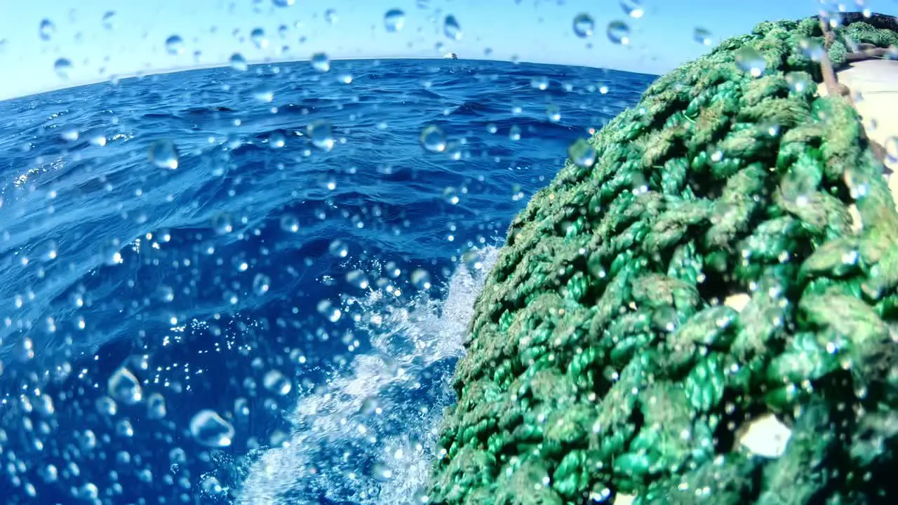 Diving from boat into the water with dolphins swimming beneath the boat