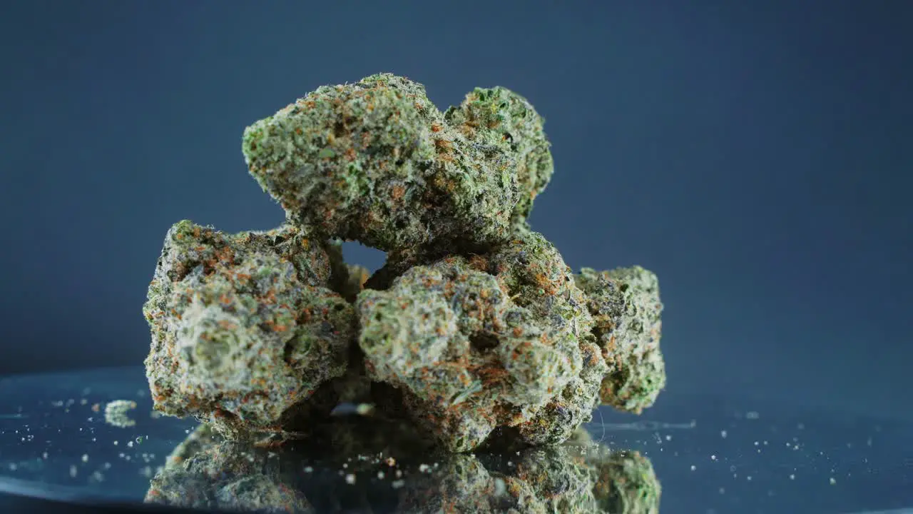 Grayish Green Dried Marijuana Buds Close Up concept Shot pile of dried marijuana plants orange trichomes strains on a reflecting rotating stand studio lights slow motion 4K video