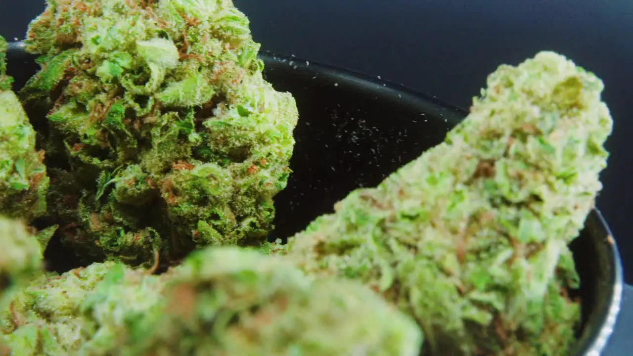 Macro Green Dried Marijuana Buds Close Up concept Shot pile of dried marijuana plants orange trichomes strains in small black shiny bawl on a rotating stand studio lights slow motion 4K video