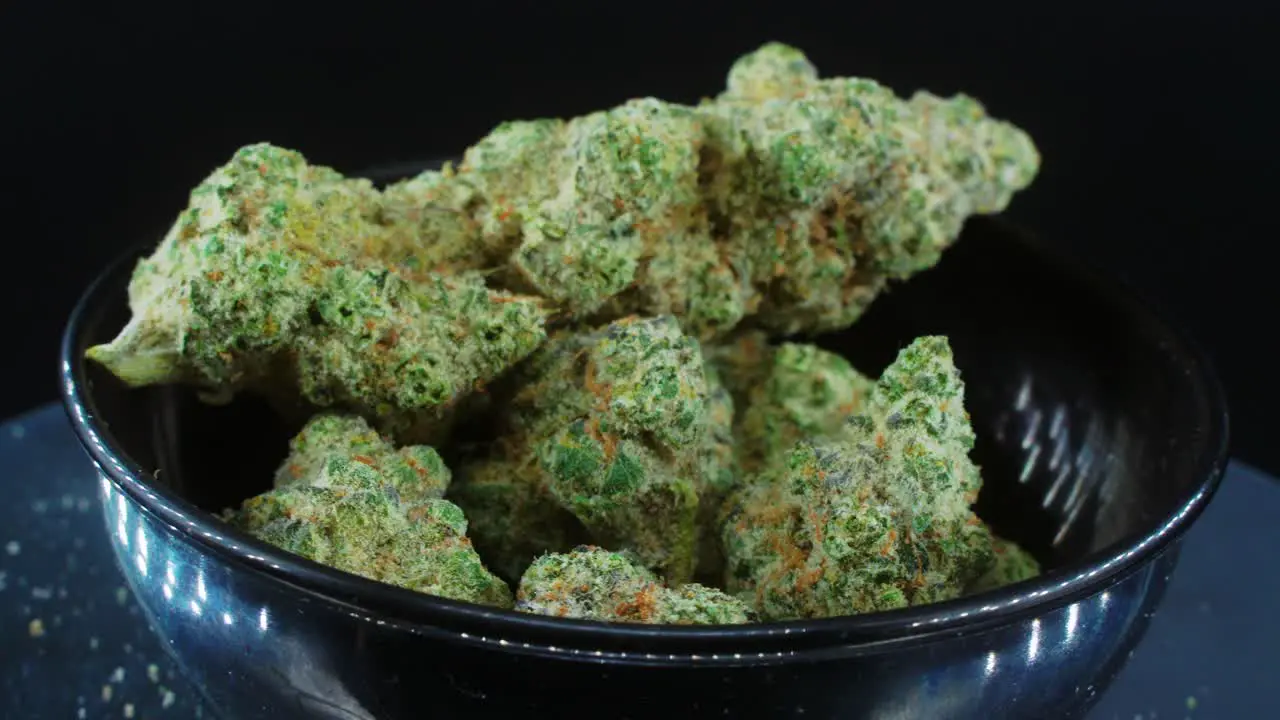 Green Dried Marijuana Buds Close Up concept Shot pile of dried marijuana plants orange trichomes strains in small black shiny bawl on a rotating stand studio lights slow motion 4K video 2